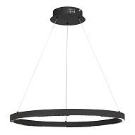 SL6238.433.01 Светильник подвесной ST-Luce черный/черный LED 1*32W 4000K ПАРИЛЛА 500_191_2949161
